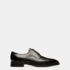 Scribe Novo Derby Shoes In Black Leather