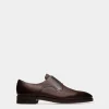 Scribe Novo Derby Shoes In Coffee Leather