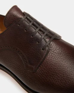 Scribe Novo Derby Shoes In Coffee Leather