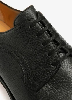 Scribe Novo Derby Shoes In Black Leather