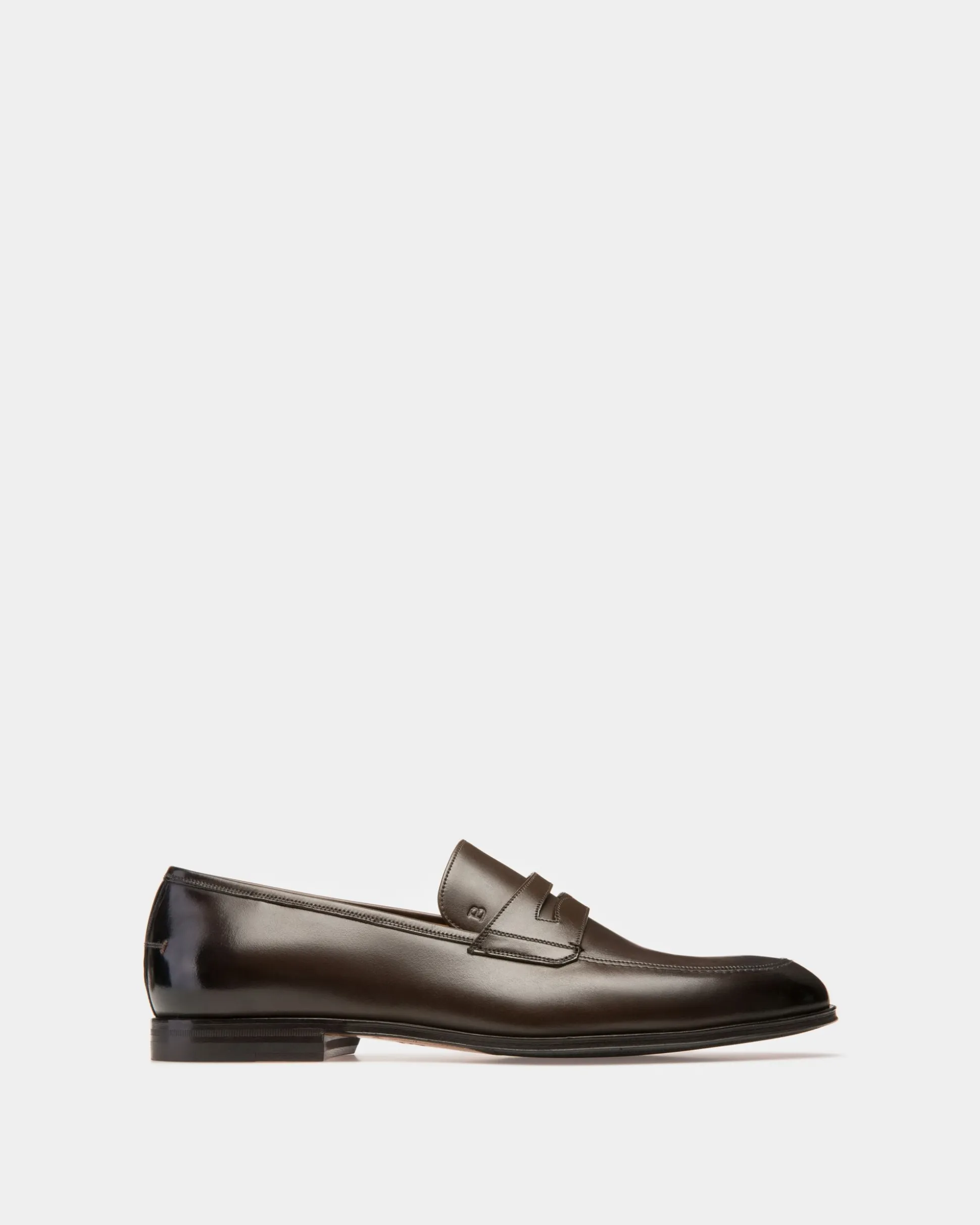 Webb Leather Loafers In Coffee