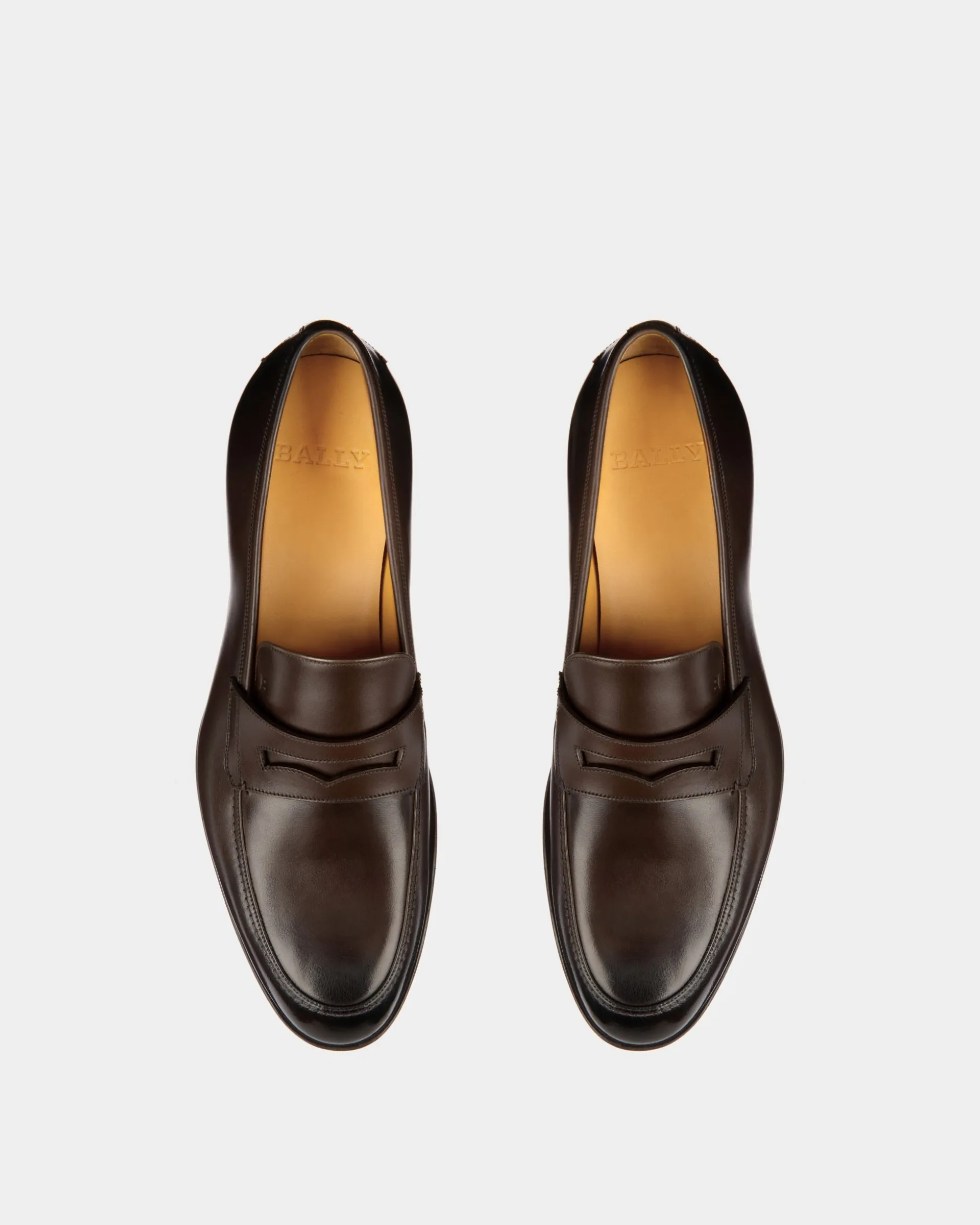 Webb Leather Loafers In Coffee